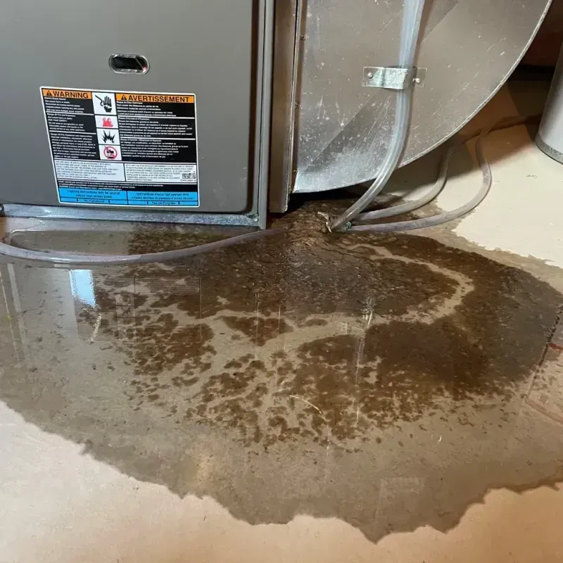 Appliance Leak Cleanup in Shoshone, ID